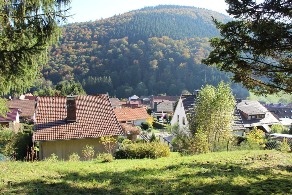 Haus Panoramablick Villa Sieber Cameră foto